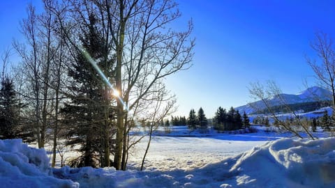 Winter View from Balcony