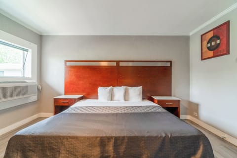 Room, 1 King Bed, Non Smoking | In-room safe, desk, free WiFi, bed sheets