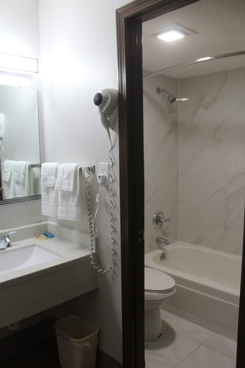 Deluxe Double Room | Bathroom | Combined shower/tub, towels, soap, shampoo