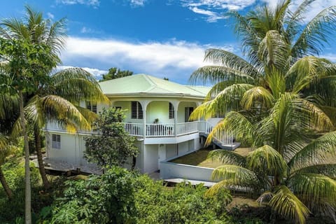 Discover Ferapalms, your tropical oasis nestled in lush greenery, just a short walk from the breathtaking Sari Sari Falls. Enjoy stunning mountain & ocean views, perfect for nature lovers and adventurers seeking a serene escape. Experience paradise!