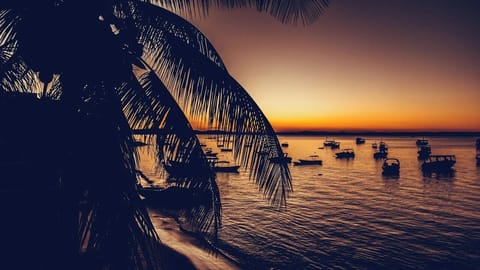 Beach/ocean view