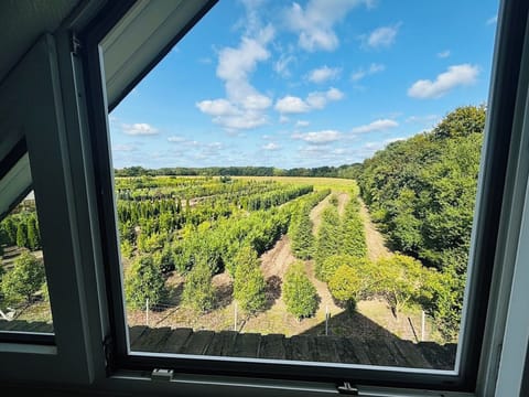 Family Quadruple Room, Garden View | In-room safe, desk, laptop workspace, soundproofing