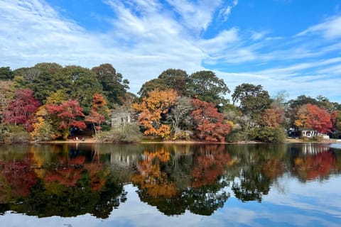 View of Picture Lake
