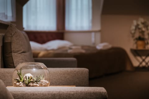 Triple Room | Desk, laptop workspace, free WiFi, bed sheets