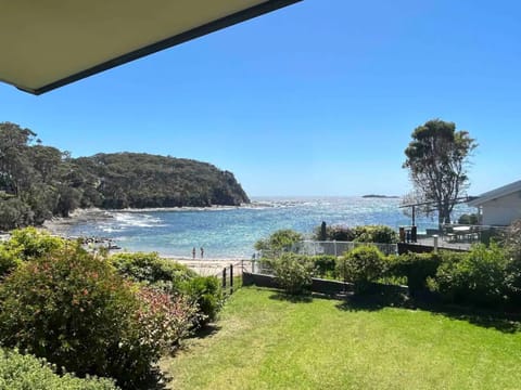View from Verandah