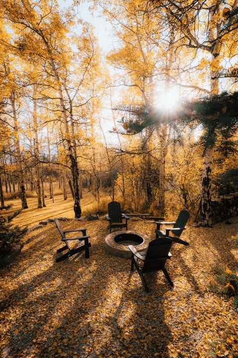 Our guests love the photo-worthy firepit. The beautiful fire pit will make you want to stay out under the stars for hours! Pull up a chair, grab your s'more stick, and enjoy the free firewood. 