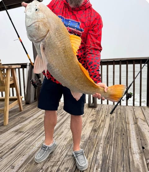 Huge fish caught off deck. Lots of Reds, Sharks, Catfish caught here a lot!