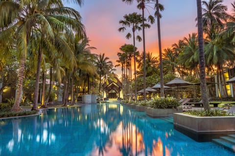 Outdoor pool, sun loungers