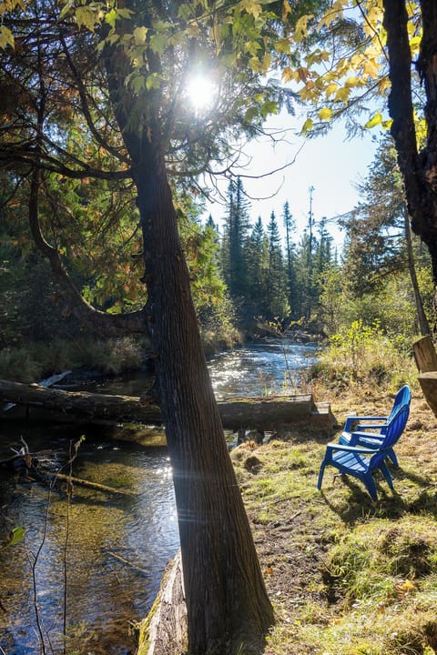 Peaceful setting on the west branch big creek