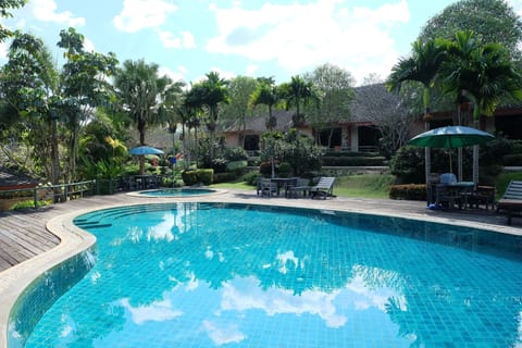 Outdoor pool, sun loungers