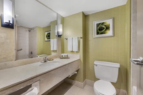 Standard Room, 1 King Bed, Refrigerator, River View | Bathroom | Combined shower/tub, eco-friendly toiletries, hair dryer, towels