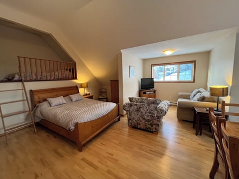 Studio Suite Living Area 