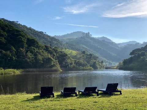 Lake view