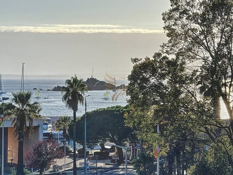 Vue de la terrasse port de Santa Lucia  et le Lion de Mer