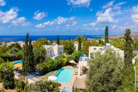 Aerial view of villa