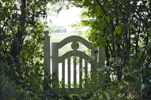 House | View from property