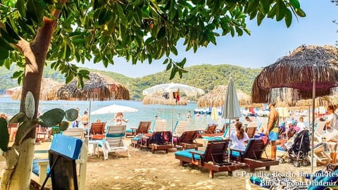 Free beach shuttle, beach towels