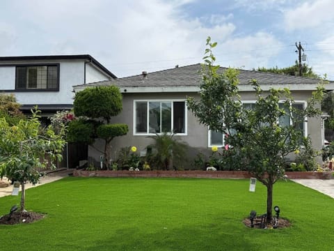 Front yard with new turf, trees and flowers