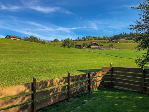 Surroundings View