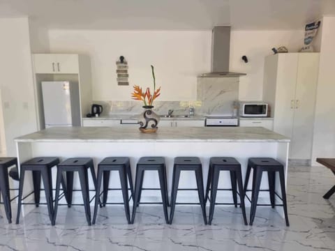 kitchen and breakfast island