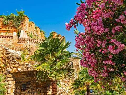 Apartment, 2 Bedrooms, Terrace, Garden View | Garden