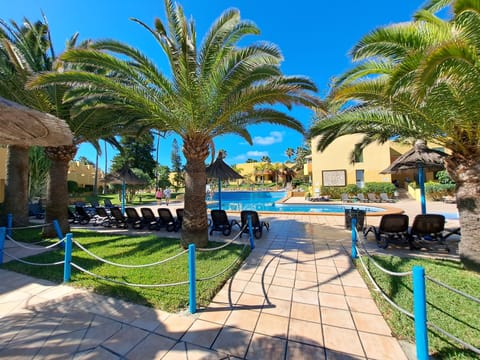 Apartment, 1 Bedroom, Smoking, Balcony | Pool | Outdoor pool