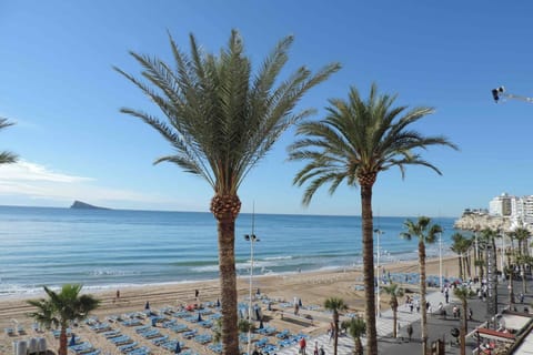 Apartment, 1 Bedroom, Accessible, Balcony | Beach | On the beach