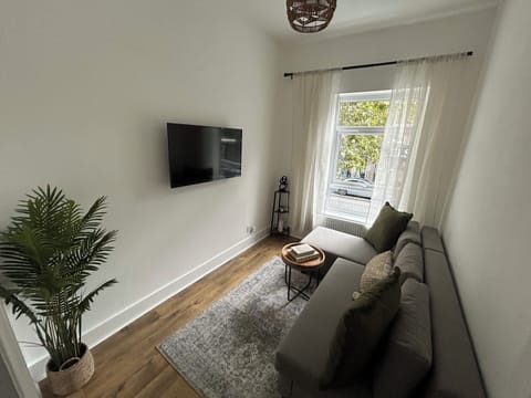 Sofa Bed with a TV and a Coffee Table.
