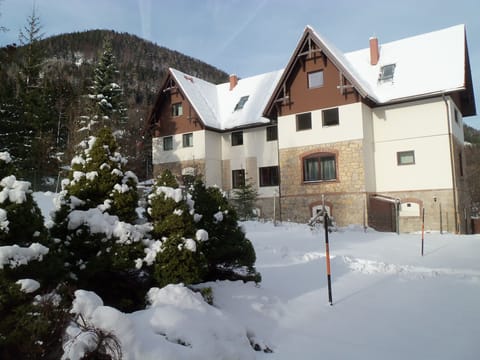 Villa Wellspacher Winter Exterior