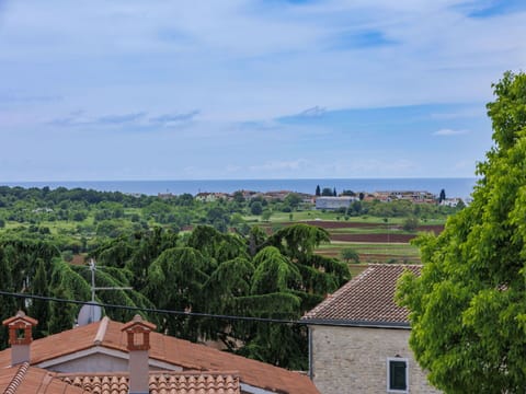 Cloud, Sky, Building, Azure, Window, Tree, Horizon, House, Morning, Wood