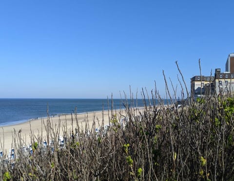 Classic Apartment, 2 Bedrooms | View from property