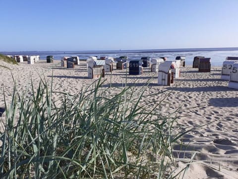 House | Beach