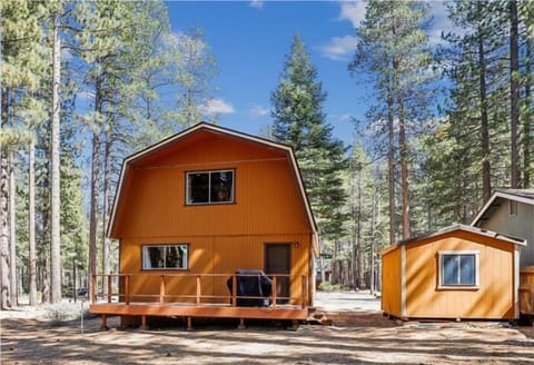 Spacious cabin surrounded by towering pines, offering serenity and privacy in the forest.