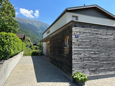 Driveway view