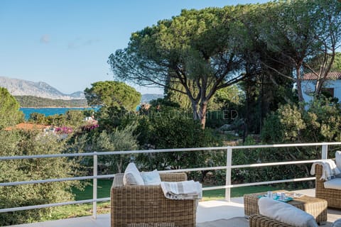 Balcony / Terrace / Patio, Scenic View