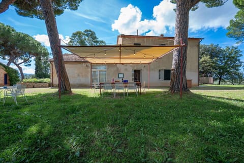 Autumn, Garden, Spring, Summer