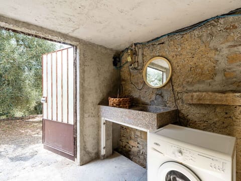 Laundry Room, Clothes Dryer, Plant, Washing Machine, Property, Window, Building, Wood, Architecture, Interior Design