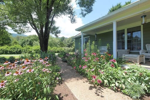 Terrace / Patio