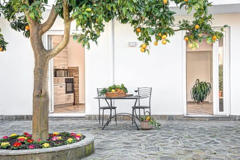 Autumn, Building Exterior, Spring, Summer, Winter