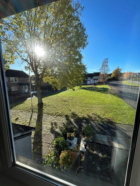 The view from your living room 🩷