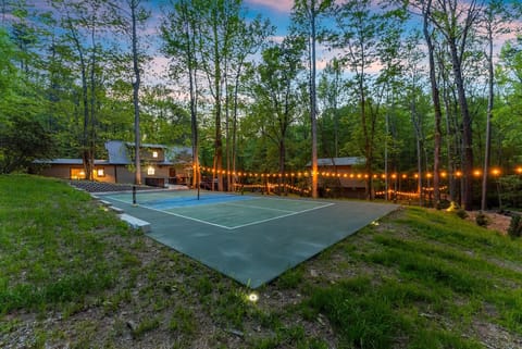 Your very own Pickleball Court, siting on 4 acres of private forestland