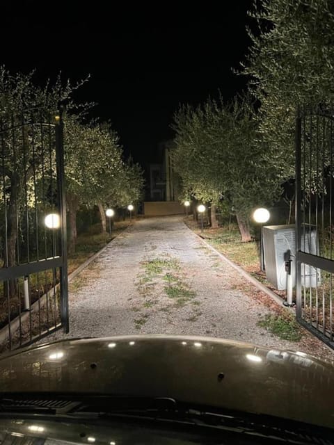 Apartment | Property grounds