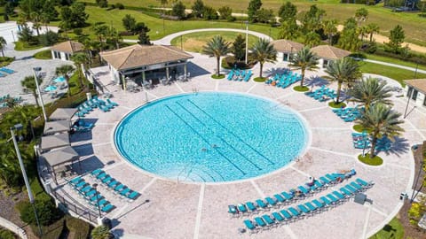 A large circular pool surrounded by turquoise lounge chairs and palm trees in a resort setting.