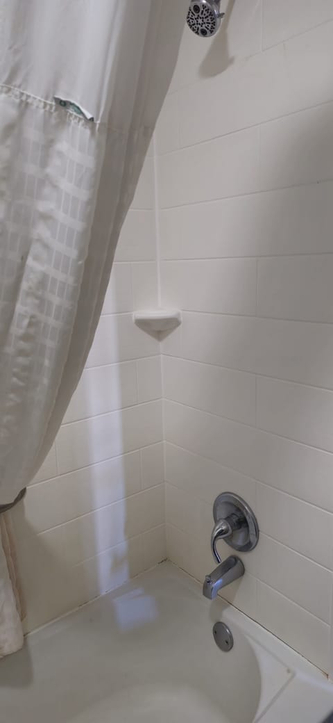 Basic Single Room | Bathroom