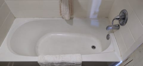 Basic Single Room | Bathroom