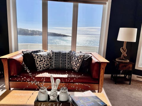 Spectacular Views of Trinity Bay.
Watch Dolphins In The Harbour While Sipping Coffee