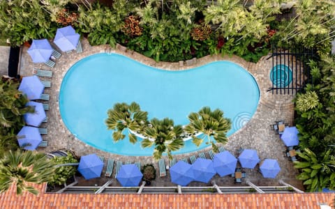 This inviting pool, nestled among lush greenery and vibrant umbrellas, offers a serene and refreshing oasis for relaxation.