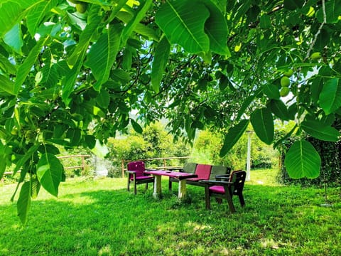 Sky, Plant, Natural Landscape, Natural Environment, Land Lot, Tree, Urban Design, Grass, Plain, Grassland