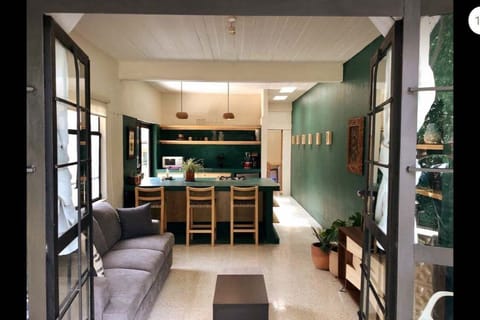 Cocina, sala y barra con luz natural desde el parque.