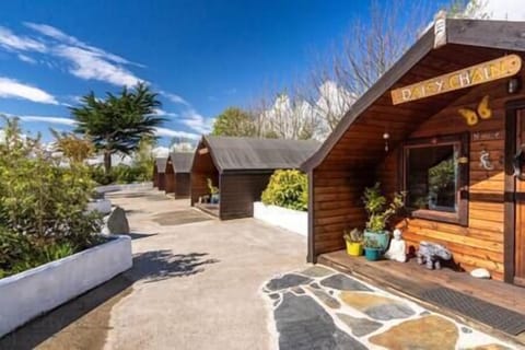 E0caa85b 5233 4276 b39b ea98f06e8583